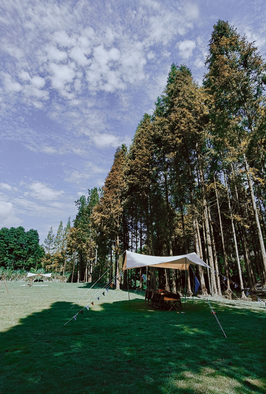 1h直达超好耍露营地！这五处秘密基地出片率100%，带你在星空下篝火旁，拥抱元气秋日大自然~