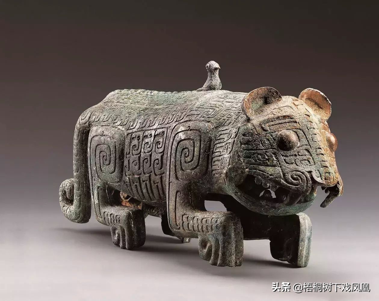 2022壬寅年是什么虎年,壬寅年为什么是水虎年