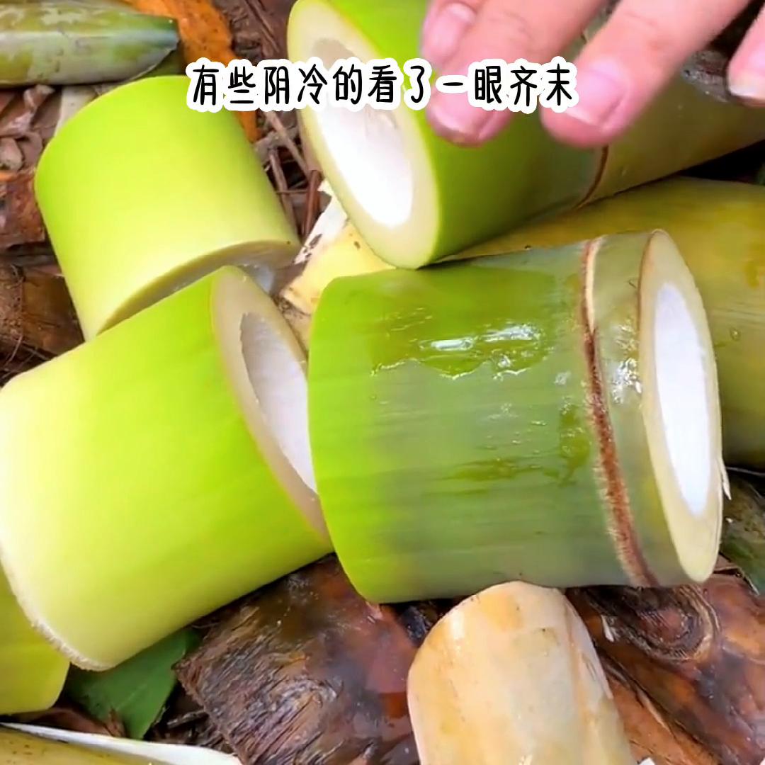 名《念念无言》@DOU+上热门