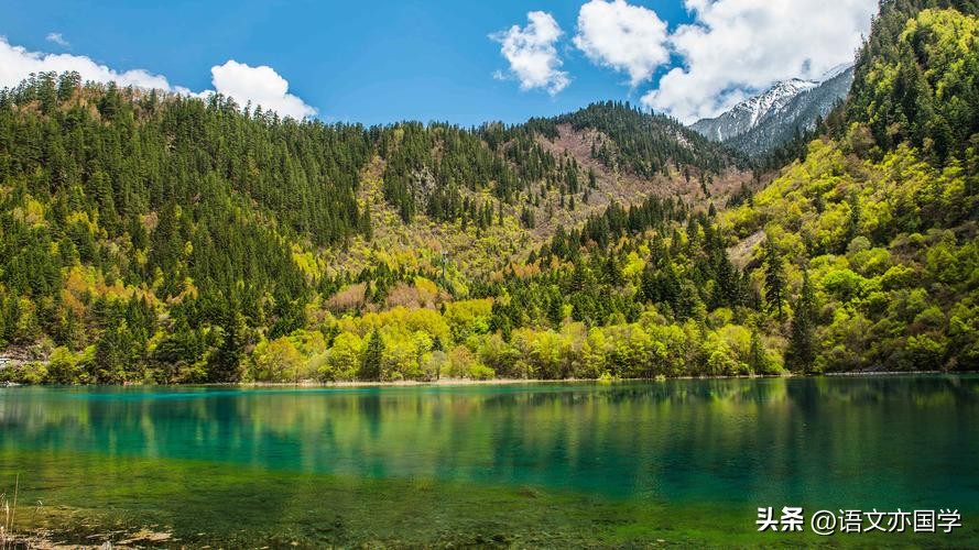 高考成语专项训练及答案,高考成语知识框架