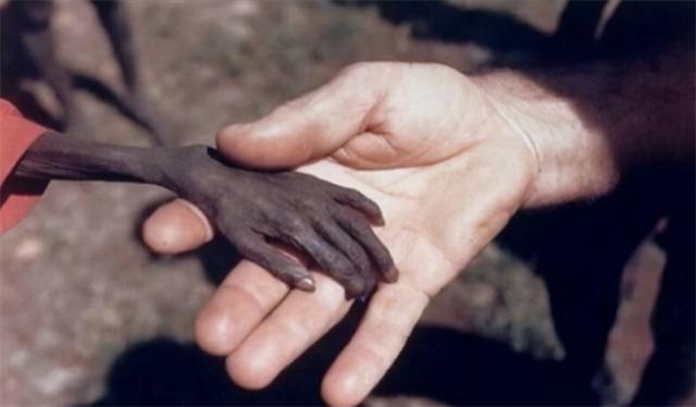 7年前，非洲1岁男孩被父母遗弃，流浪途中遇游客喂水后被收养