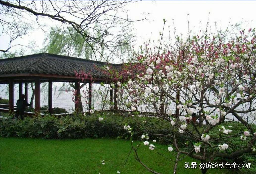 西湖十景点旅游最佳路线图,西湖十景游玩顺序图