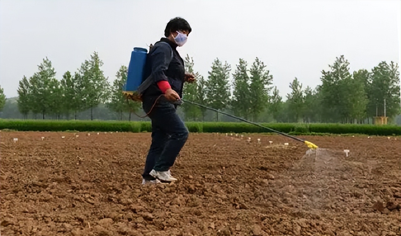 东北大娘吃农药喝汽油，6年身体无异常，医生：她吃的农药过期了