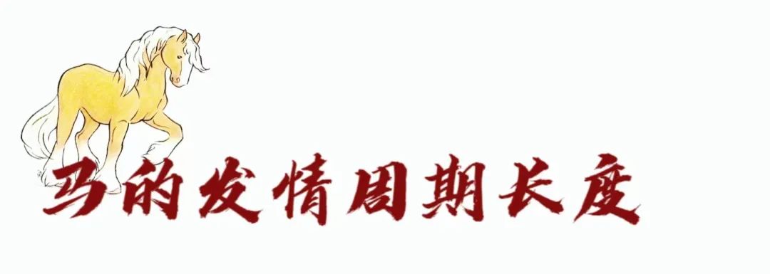 如何分辨马儿是否怀孕,马儿有没有怀孕怎么辨别