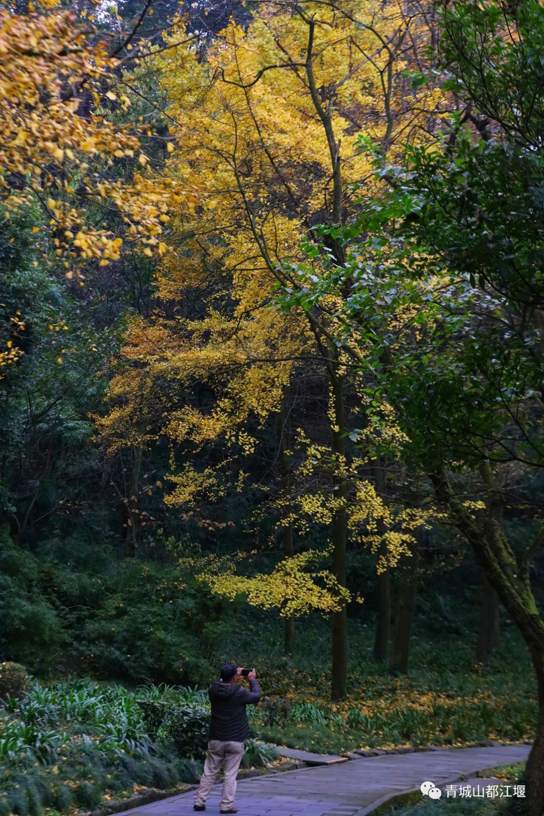 立冬气温仅13℃!快来领取都江堰专属的『入冬四件套』,品围炉暖食、享竹林温泉......成都1.5h直达~