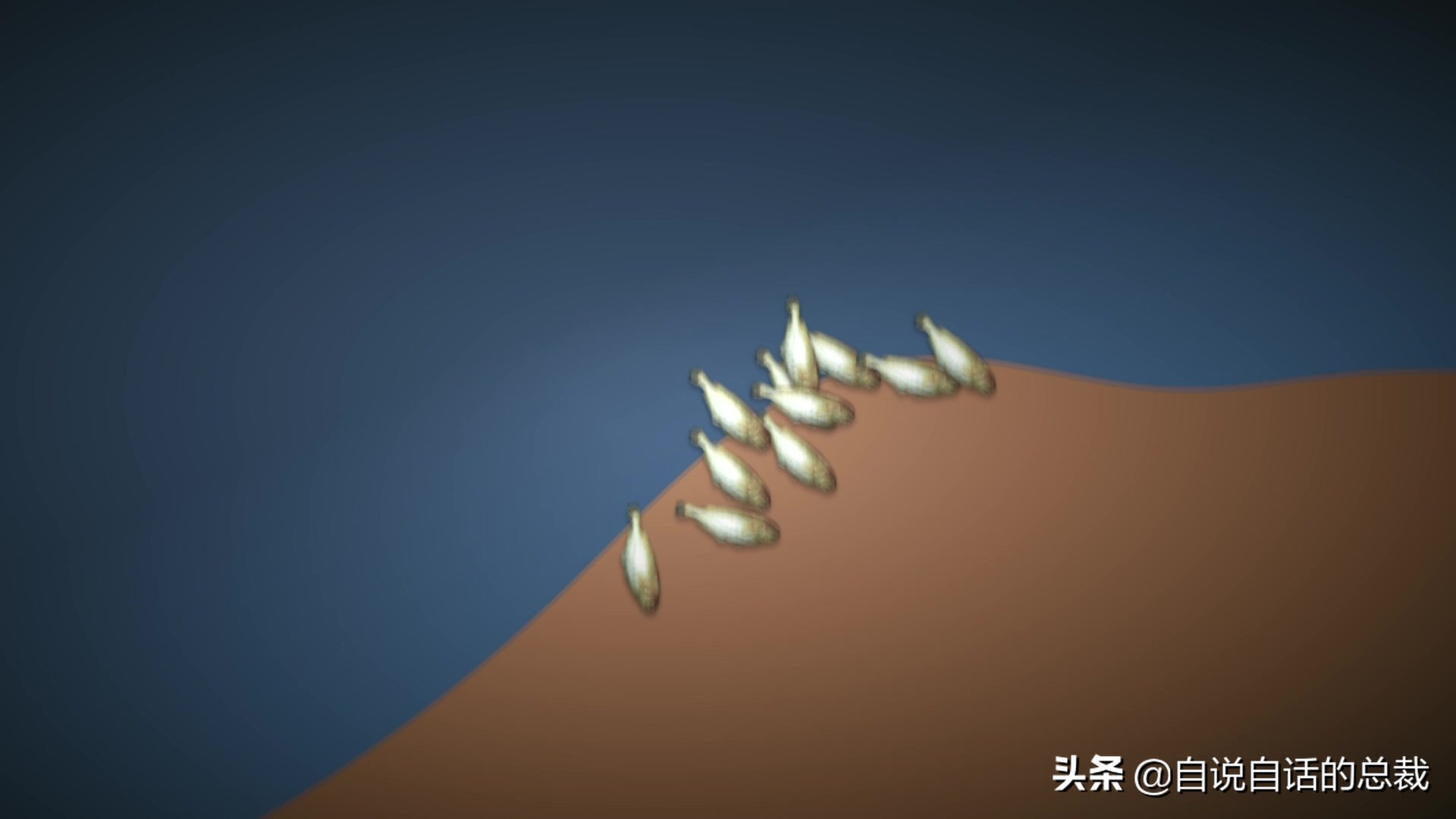 目前野生大黄鱼为什么这么贵,大黄鱼最贵价格多少钱一斤