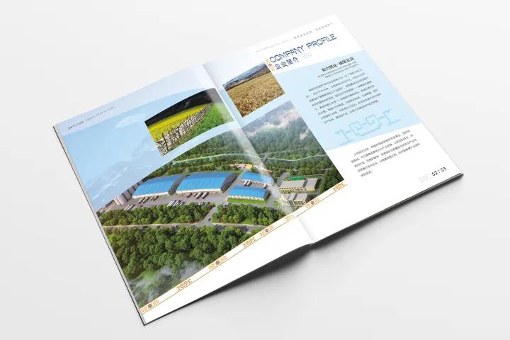 画册排版设计技巧有哪些,顶级画册设计排版注意什么