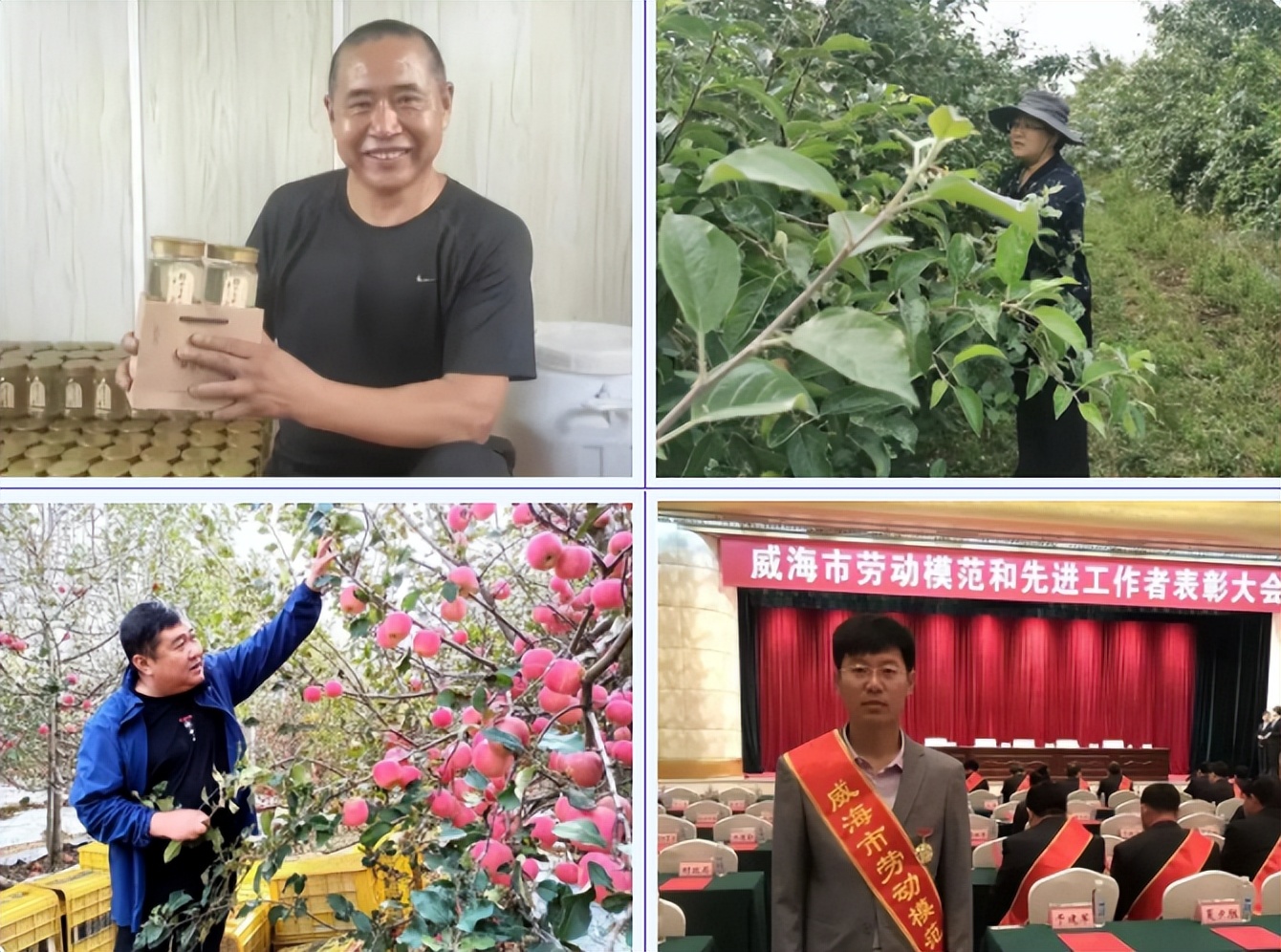 威海哪个村最美,威海十大美景乡村