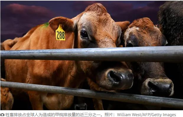 你知道打嗝是什么原因,人打嗝有甲烷吗