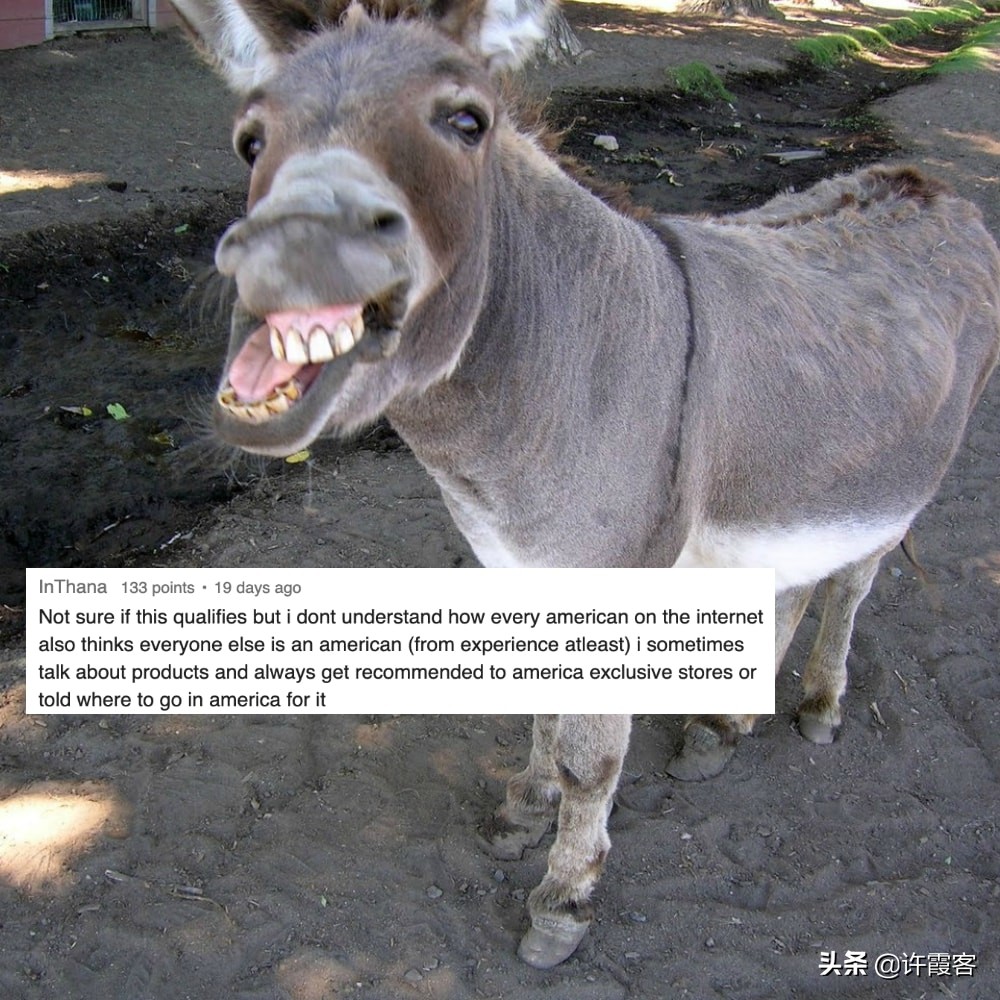 带你看看真实的美国,带你看清美国的一些事