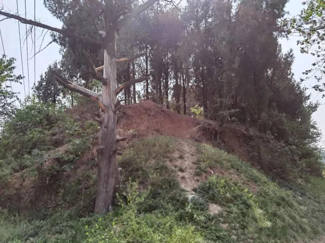 临涣古镇棒棒茶值得体验吗,临涣茶馆喝棒棒茶