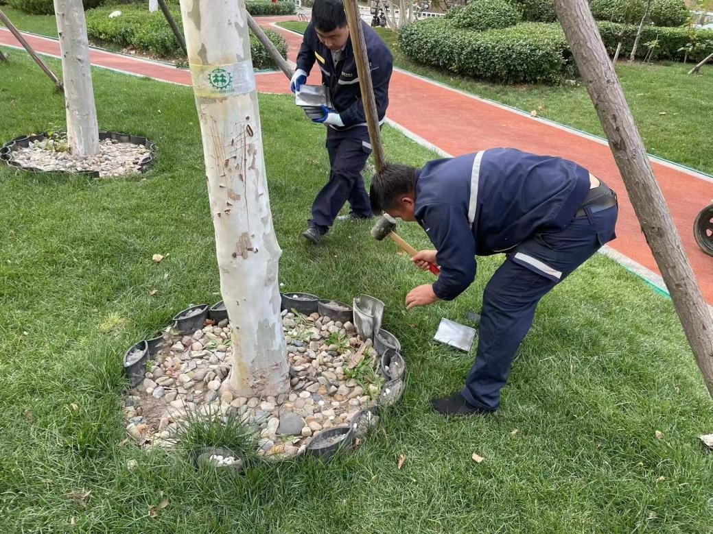 世茂御龙湾别墅津南区,世茂御珑湾津南