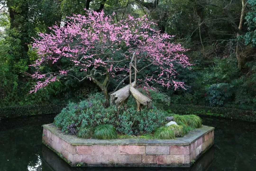 西湖十大景点价格表最新消息,西湖十大免费景点