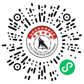 西南财大vs金强,苍狼vs老虎