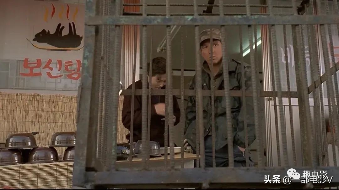 韩国最令人发指的真实事件,韩国在越战的暴行