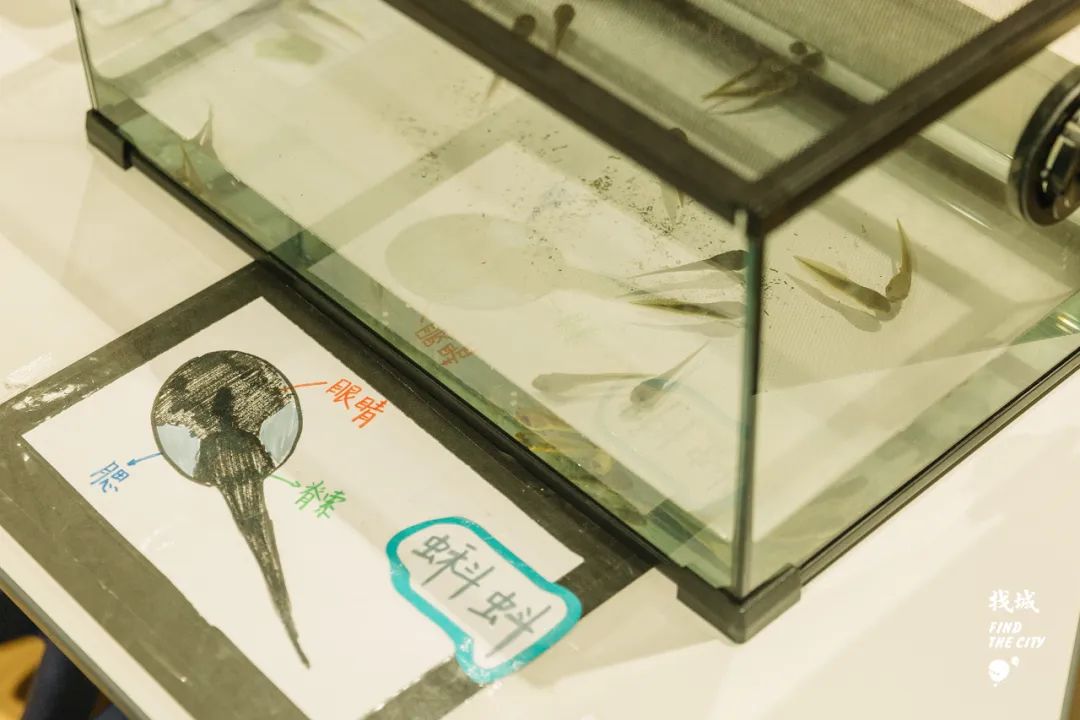 哈利·波特霍格沃茨存在吗,哈利波特中的霍格沃茨在哪里