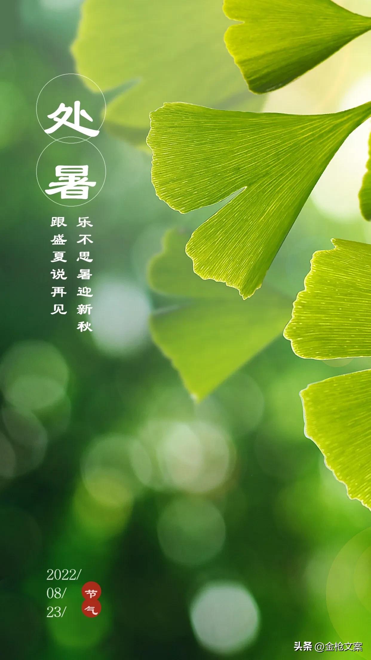 二十四节气处暑朋友圈,二十四节气处暑日记