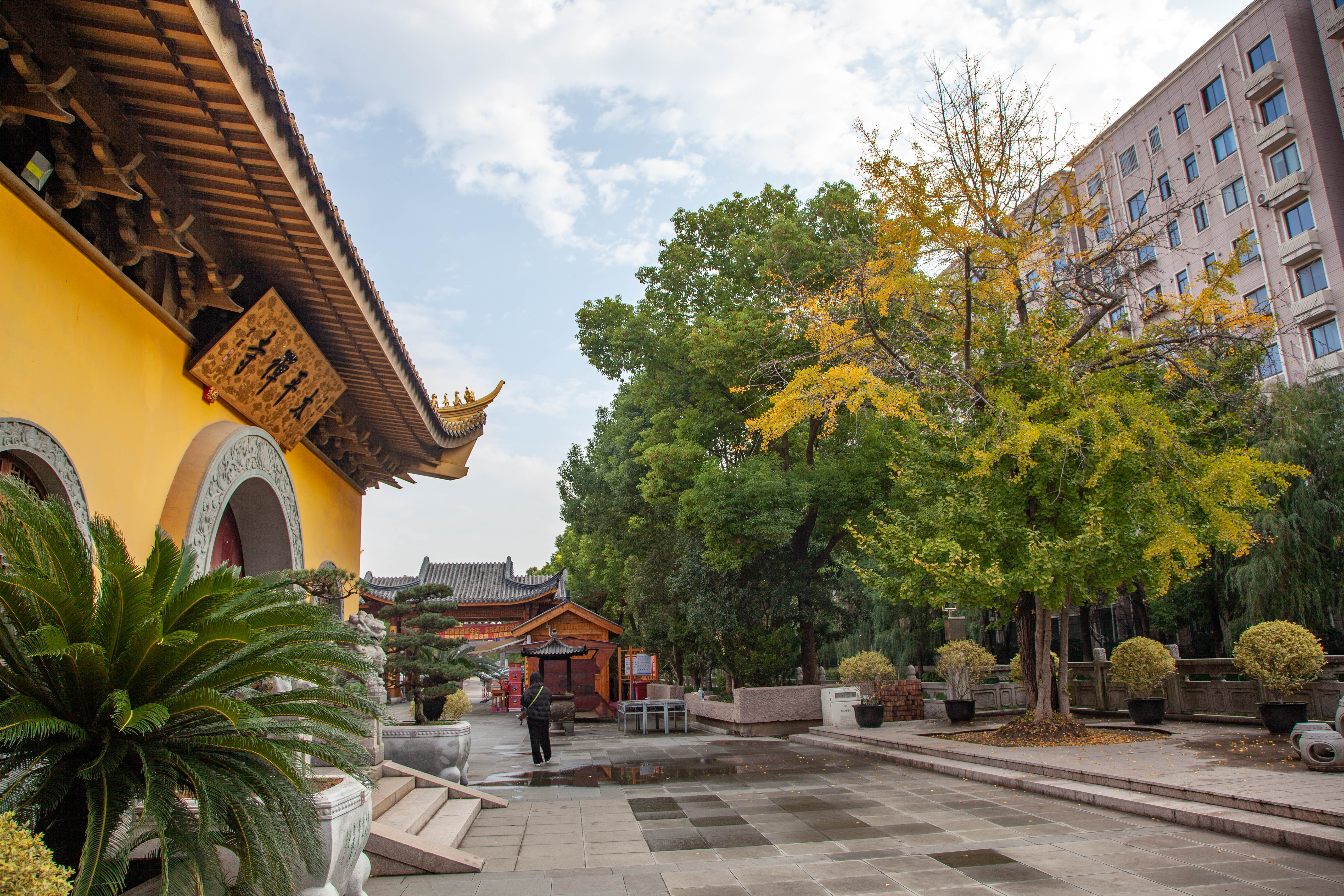 宝山顾村历史,上海宝山顾村老街