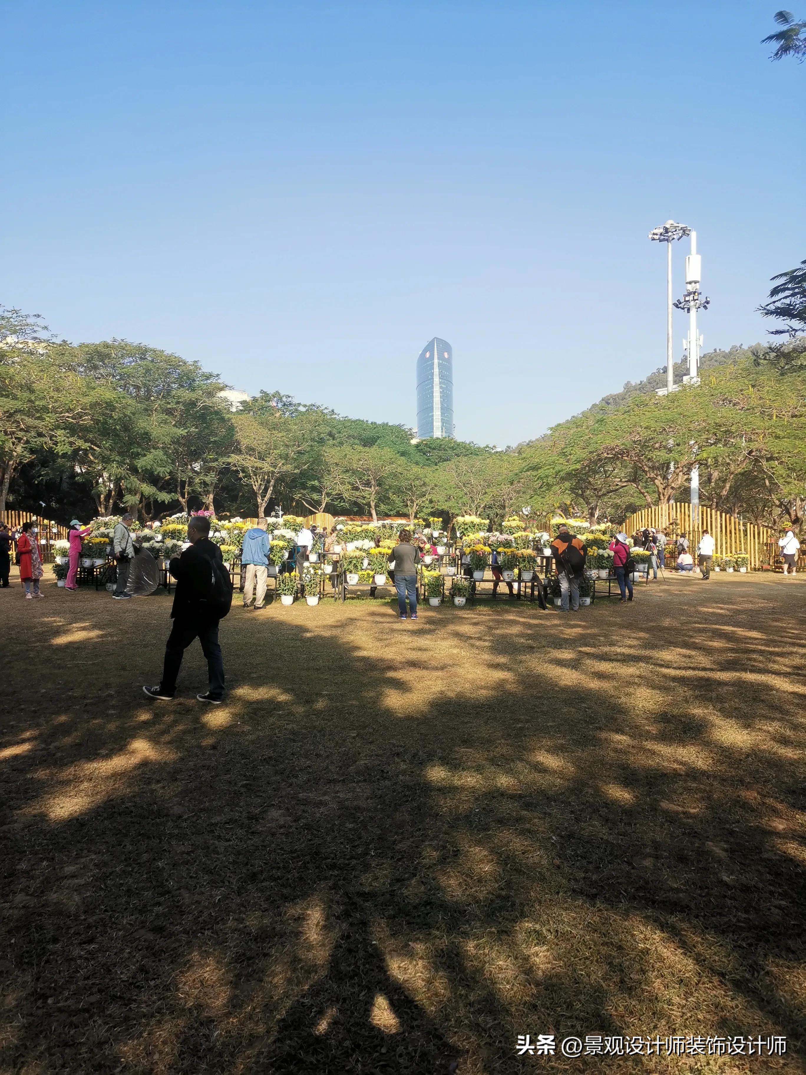 深圳市东湖公园广场舞,深圳市东湖公园收费标准