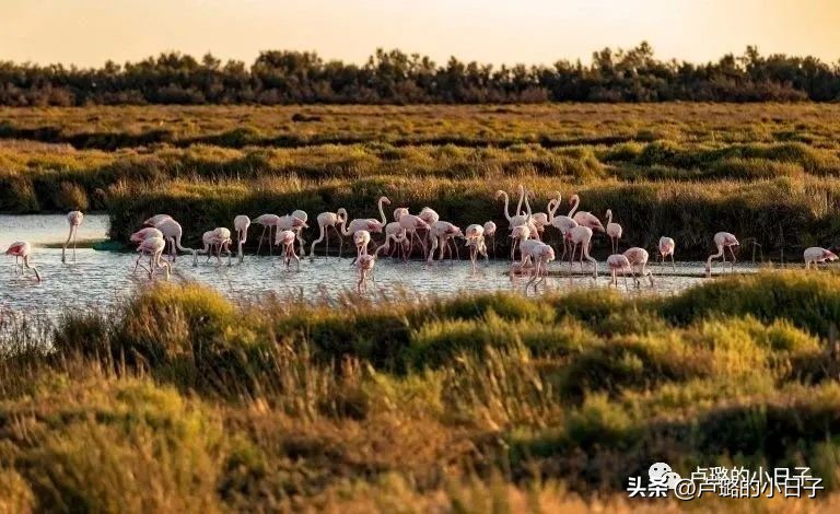 7部让你想走就走的旅行电影,吐血推荐8部关于旅行的电影