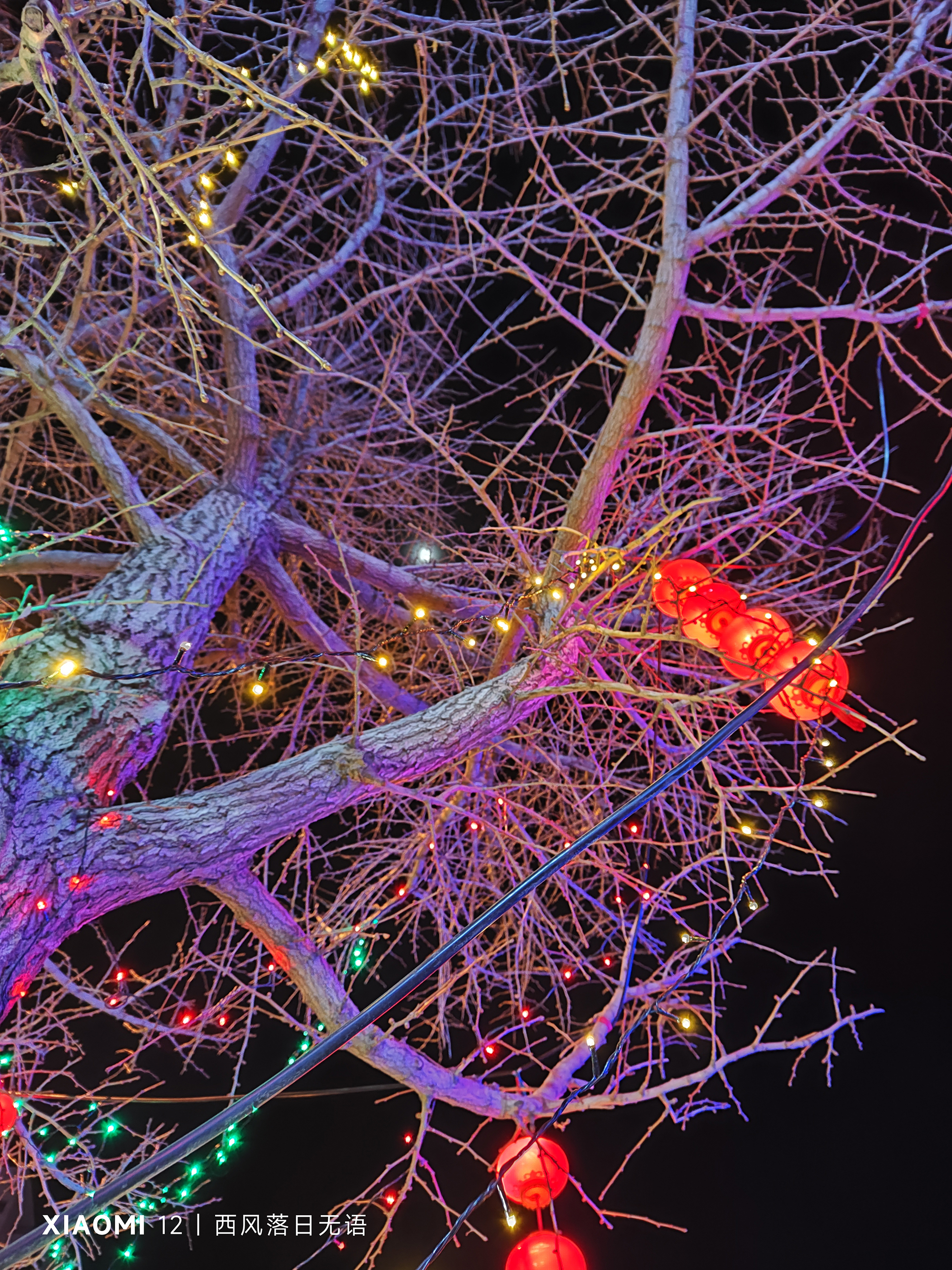 小米12哪个系列值得上手,小米12哪一款更值得入手