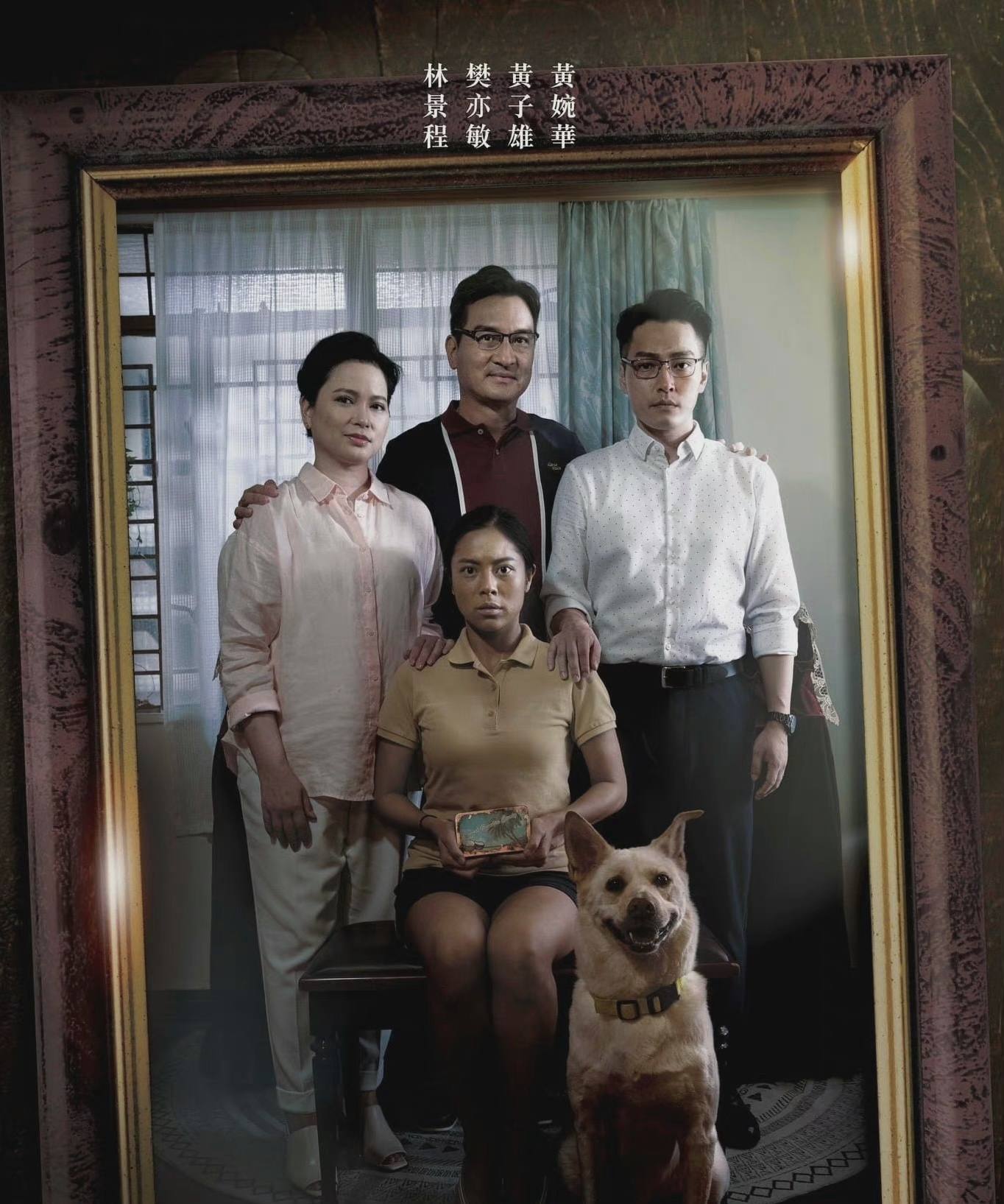 期待tvb金宵大厦2原班人,tvb金宵大厦剧情介绍