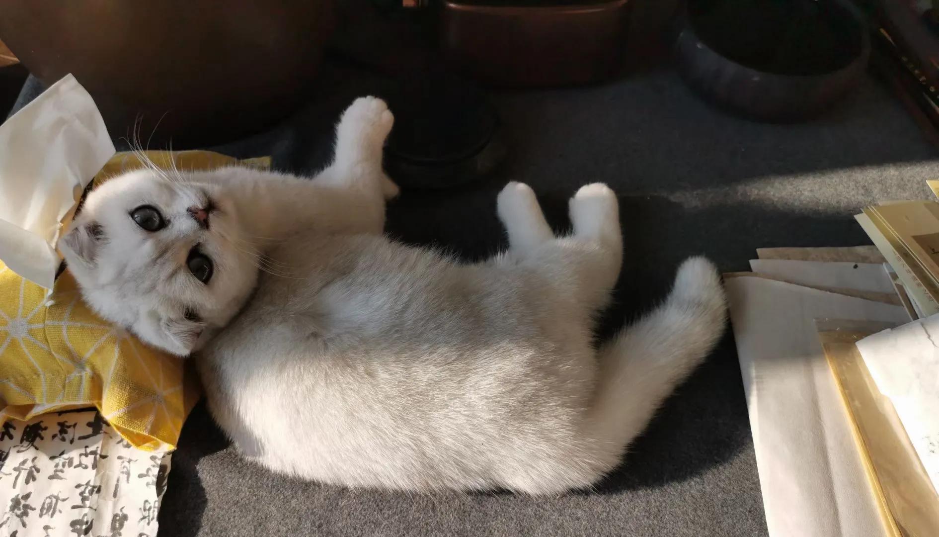 人生如棋走好属于你的那一步,人生如棋局每走一步不许回头