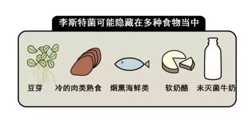 什么牌子的冰箱除菌效果最好,冰箱哪种净味除菌系统最好