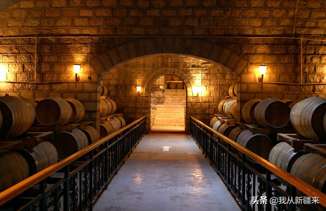 *疆新**葡萄的自我修养