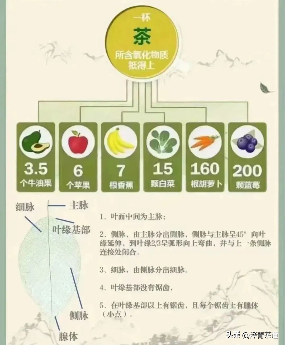 茶叶有哪些有益人体健康的成分,茶叶里含有糖类物质吗