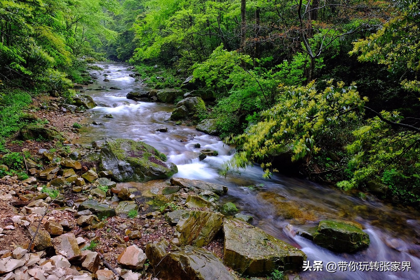 凤凰古城张家界亲子游自助攻略,张家界凤凰古城六日自由游攻略