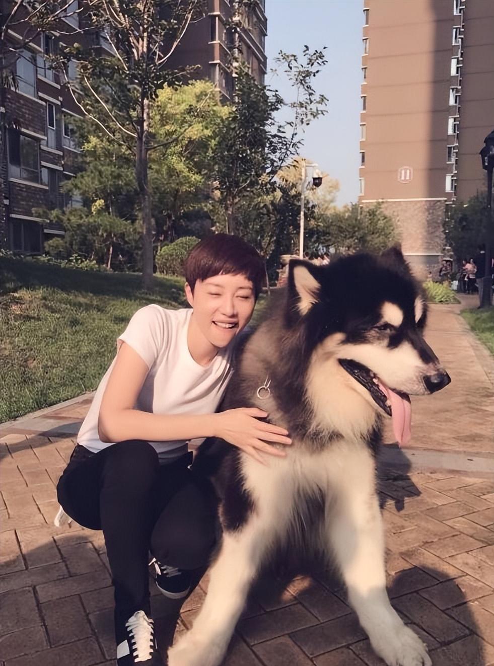 张龄心离过婚吗,张龄心有了孩子吗