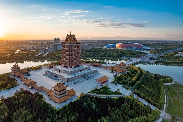 正宗宁夏红枸杞风景,宁夏红色枸杞