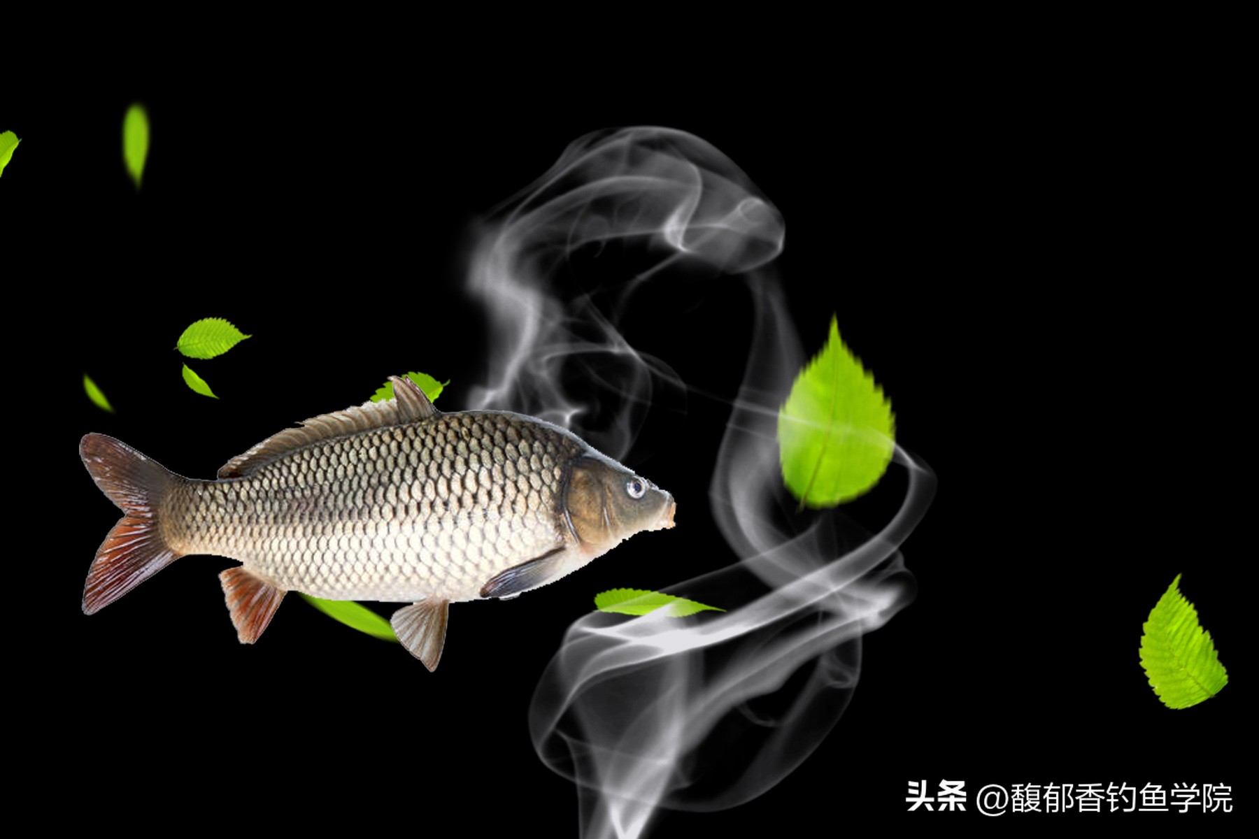 鱼饵雾化对诱鱼的作用,鱼饵雾化效果好需加什么