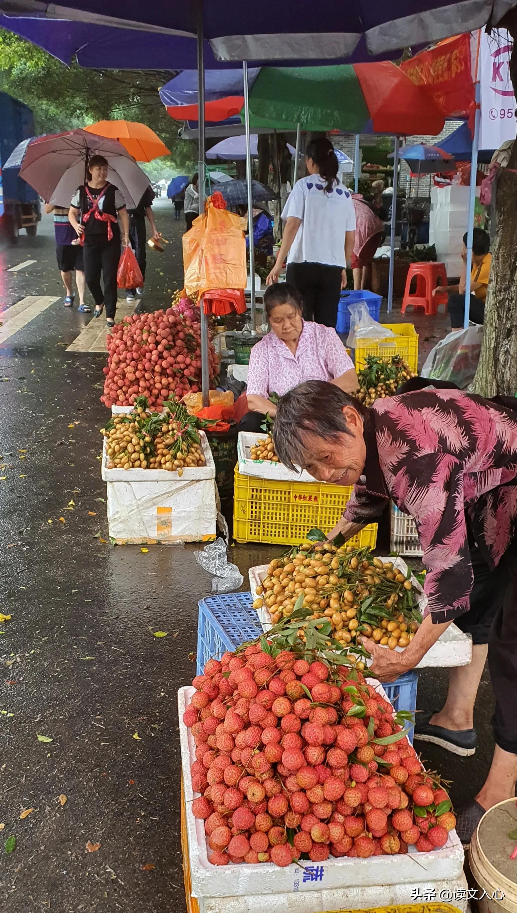 从化区南平静修小镇简介,南平静修小镇旅游文案