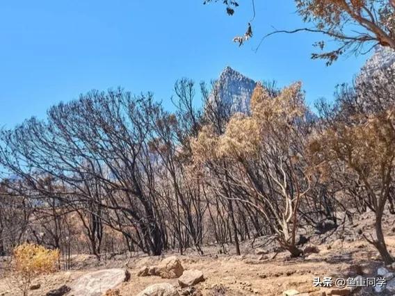 五月初七日是不是吉祥日子,农历五月初七是什么特别日子吗