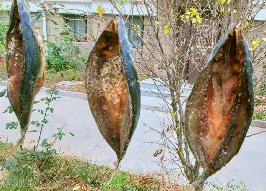 初冬，遇到此鱼我从不手软，一次买20斤，腌制存放，冬天吃特香