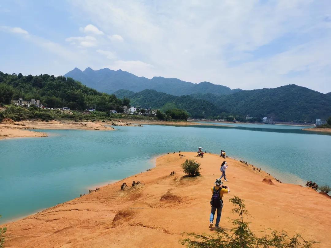 广州从化赏荷花胜地,从化草埔荷花
