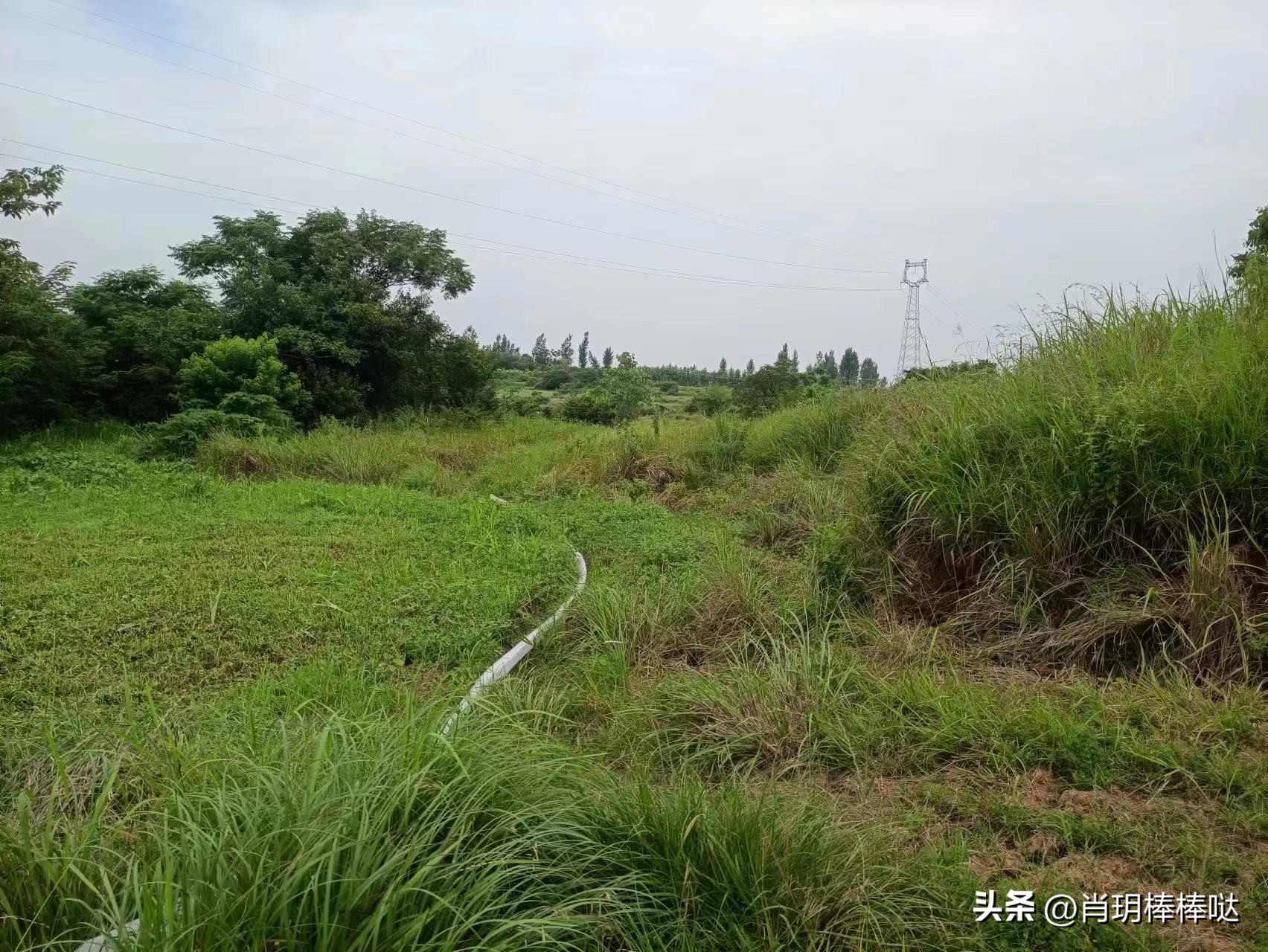 农田不是某人的暴富梦，应为农民的“致富经”！