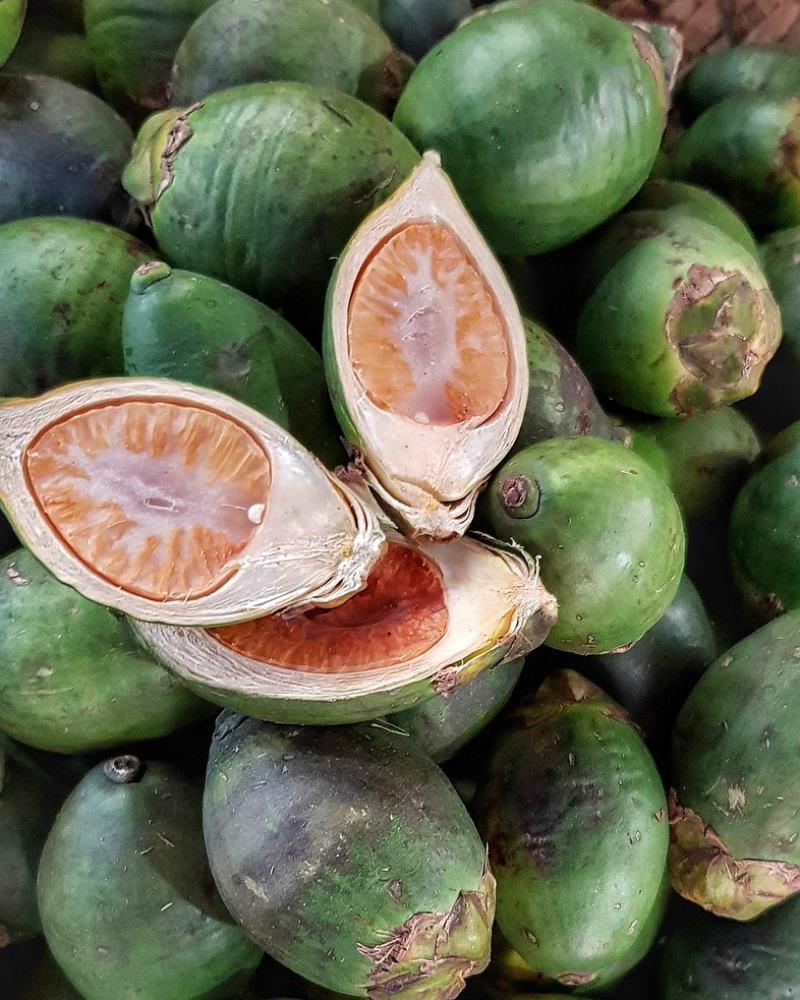 海南的支柱产业槟榔,海南槟榔产业总值