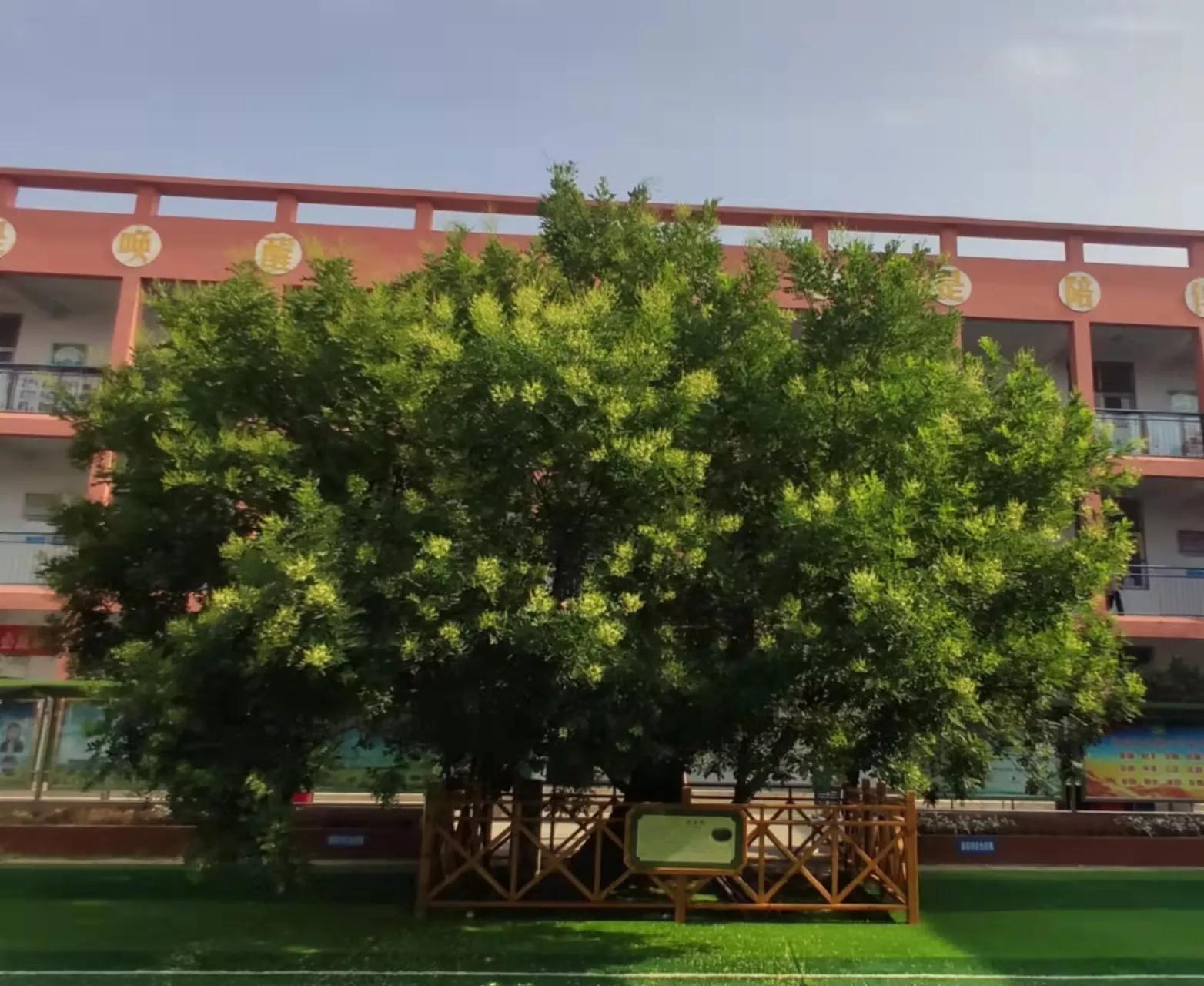 展示缤纷社团打造多彩校园