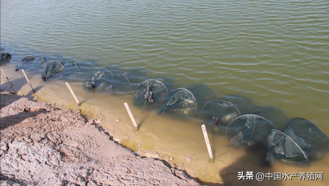 坚持做好产品质量的决心,坚持做良心产品