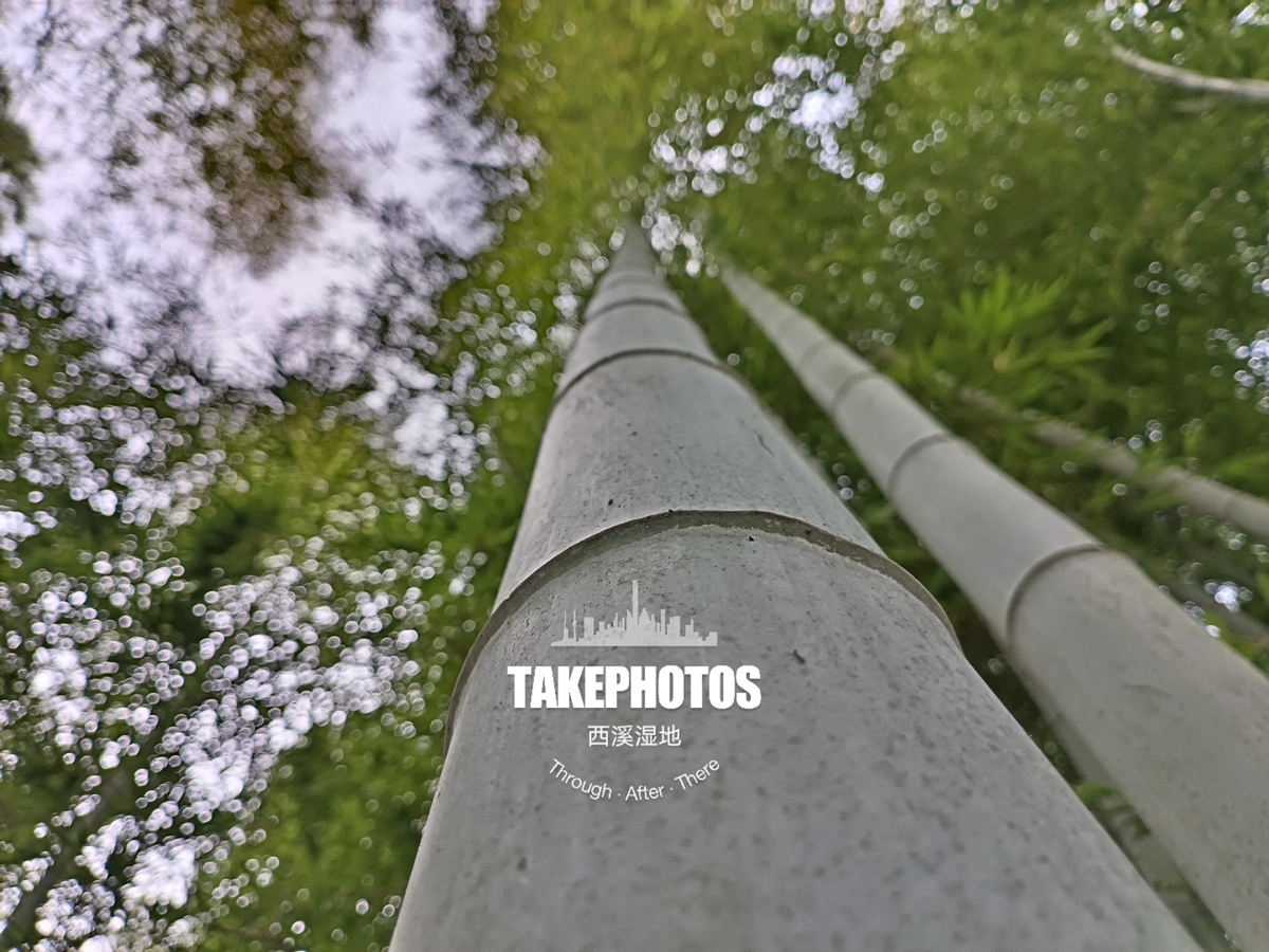 荣耀x40i屏幕参数,荣耀x40i深度测评