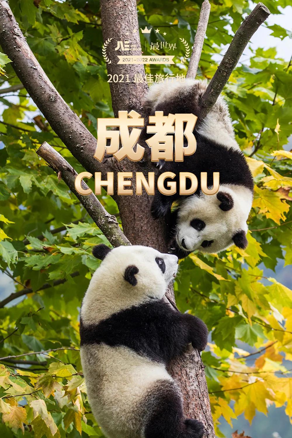 2020世界十大最佳旅行区,2020年十大最佳旅行的国家