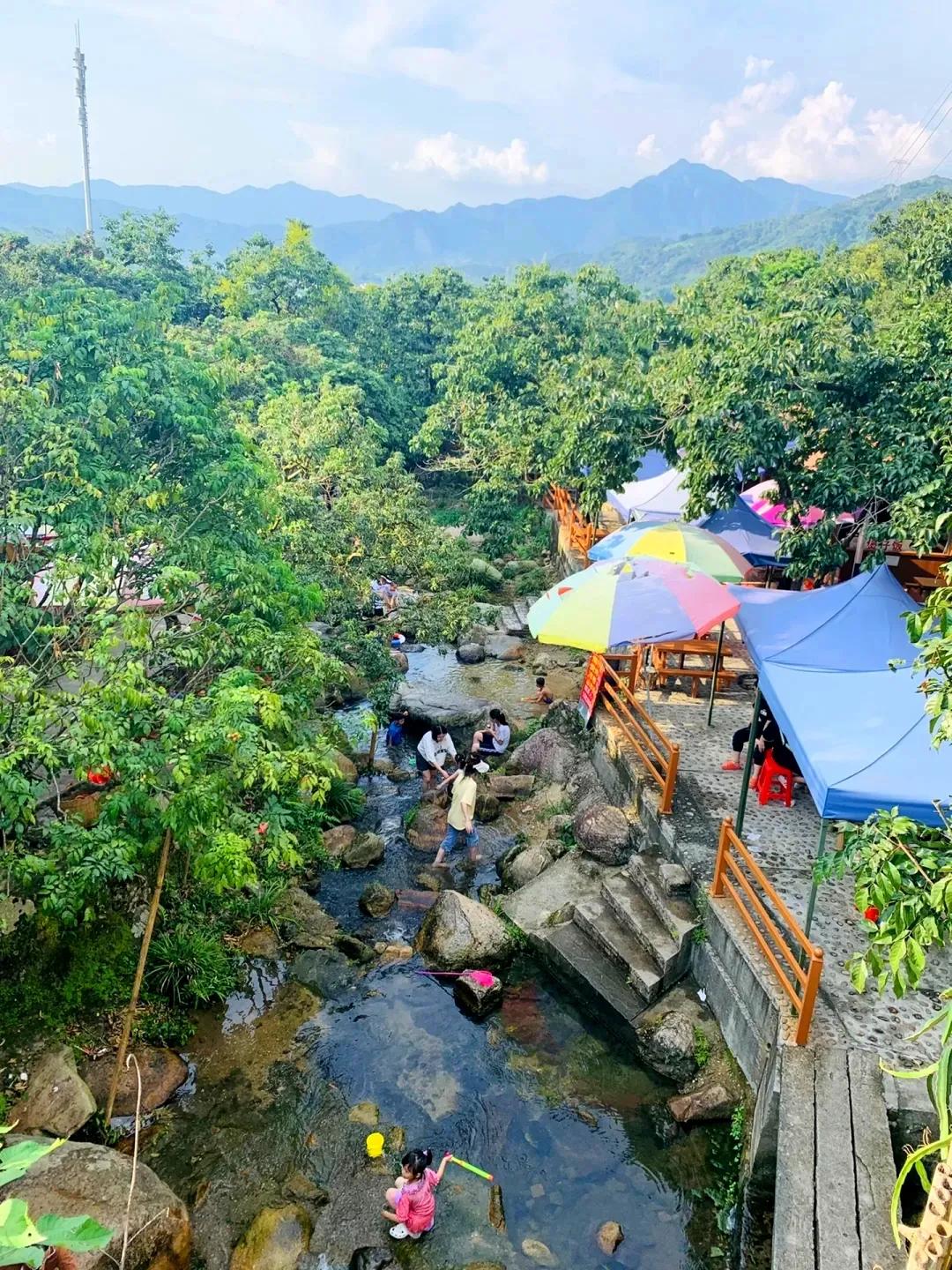 从化东成荷花园,从化摘荔枝之旅