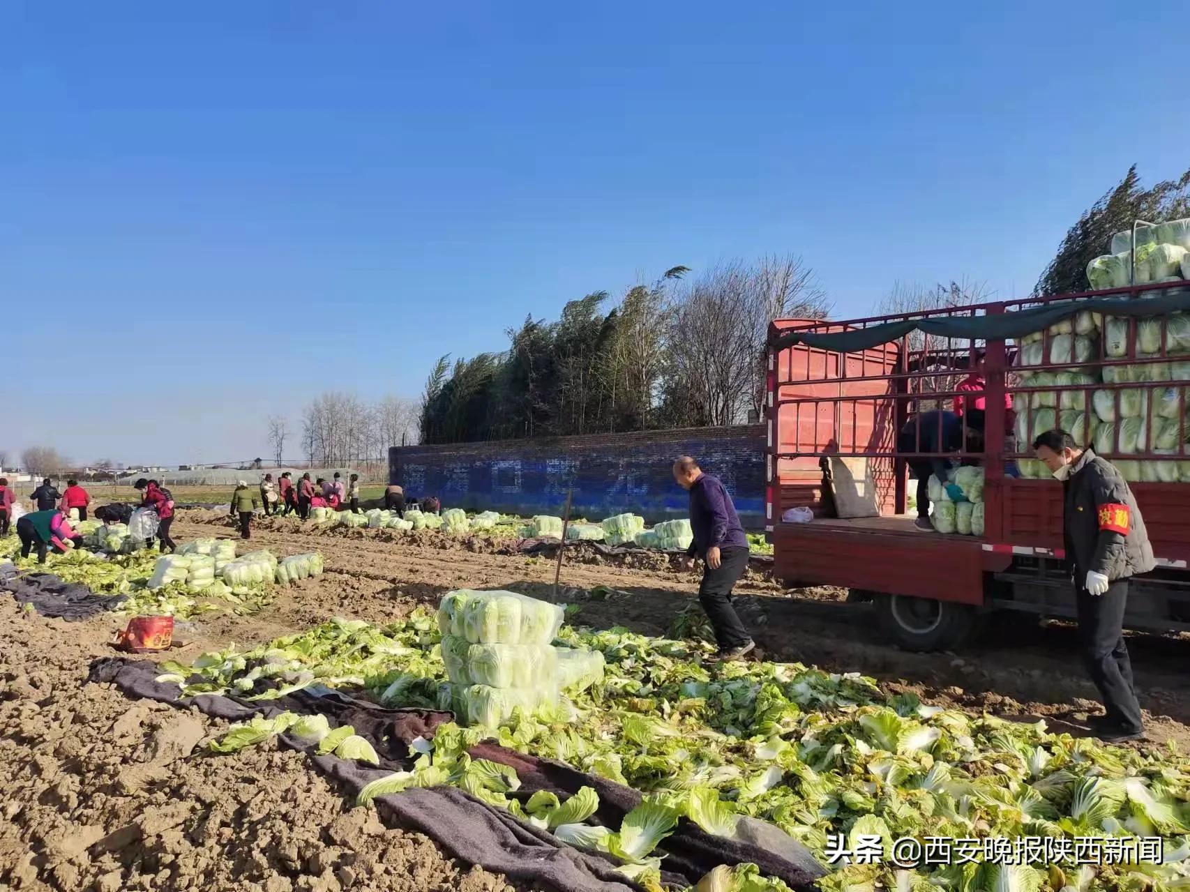 陕西省政协常委陈高志积极履职担当参与疫情防控工作