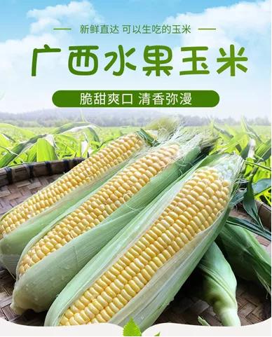 好一朵横州茉莉花搭上“电商快车”走天下