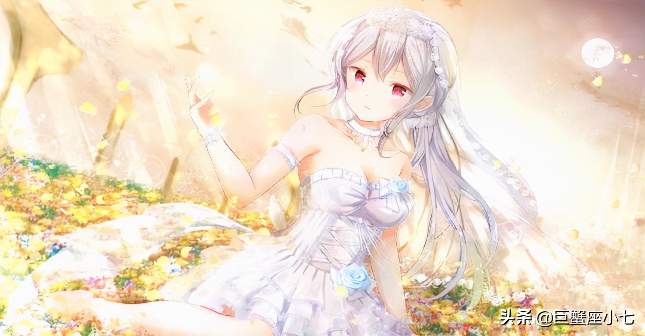 什么星座宁缺毋滥,宁缺毋滥绝不将就的星座有你吗