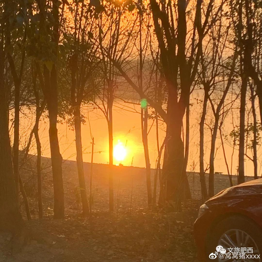 原来，在社交平台中，肥西的真实风景是这样的