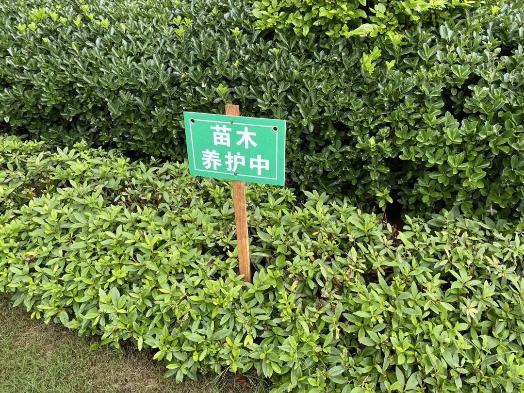 旭辉国宸府延期,房住不炒不等于房价不涨